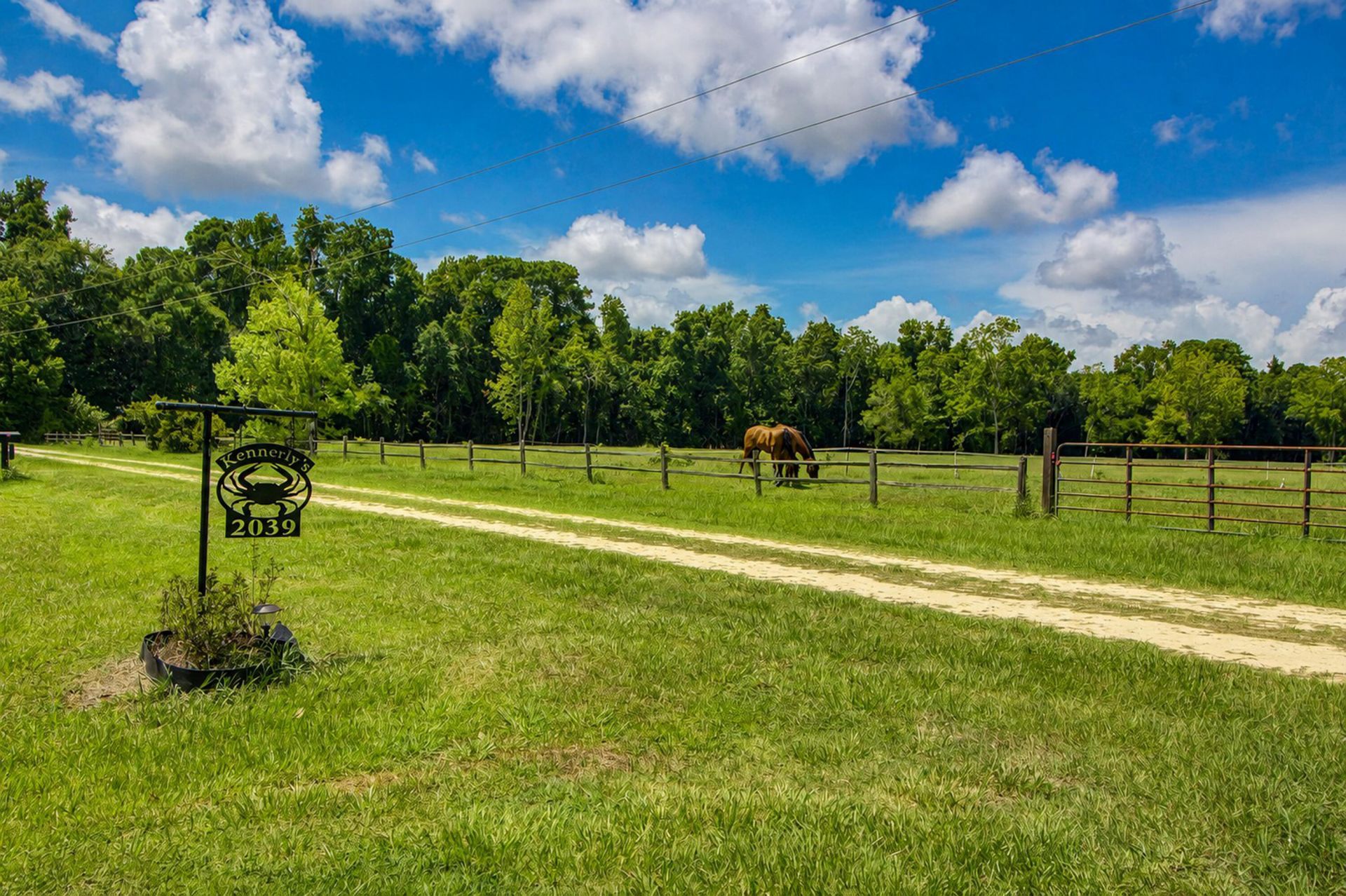 2039 Bentz Road Photo 12