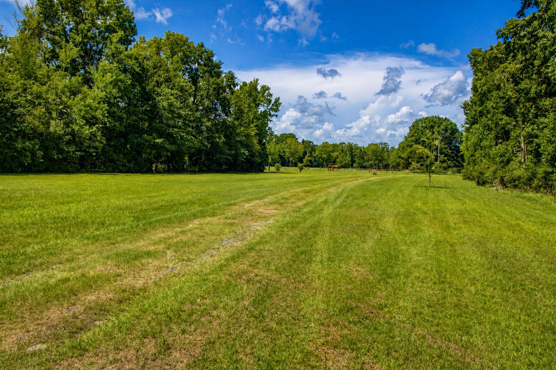 2039 Bentz Road Photo 15