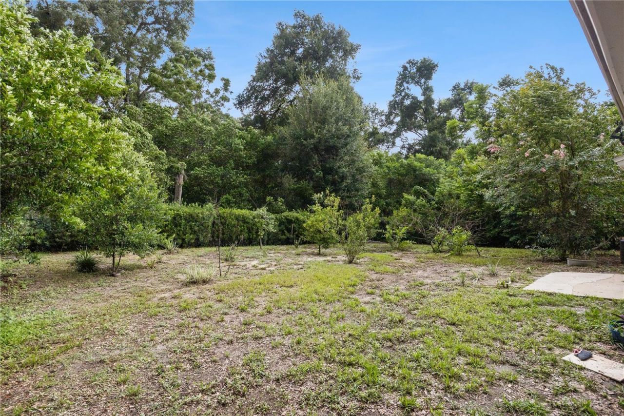 3688 Rundo Drive , Orlando, FL 32818 Photo