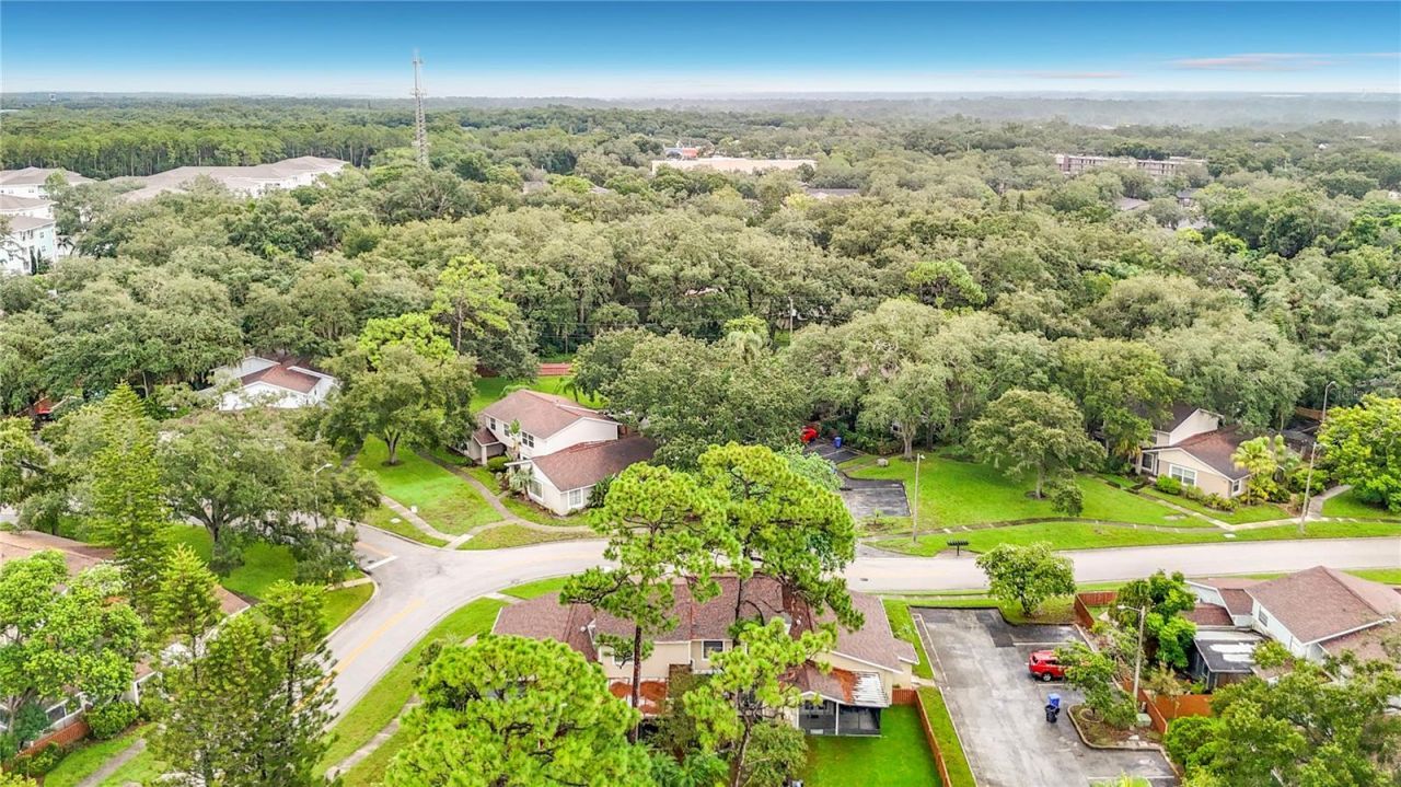 14732 Pine Glen Circle, Lutz, FL 33559 Photo