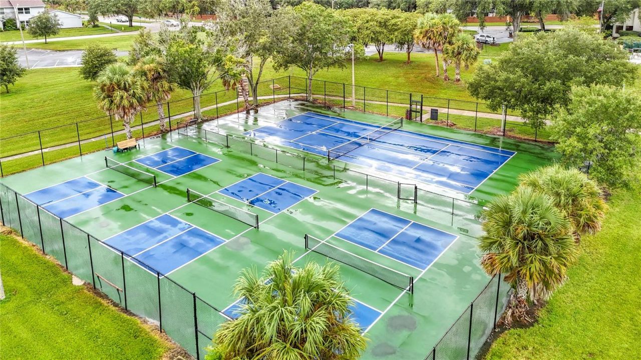 14732 Pine Glen Circle, Lutz, FL 33559 Photo