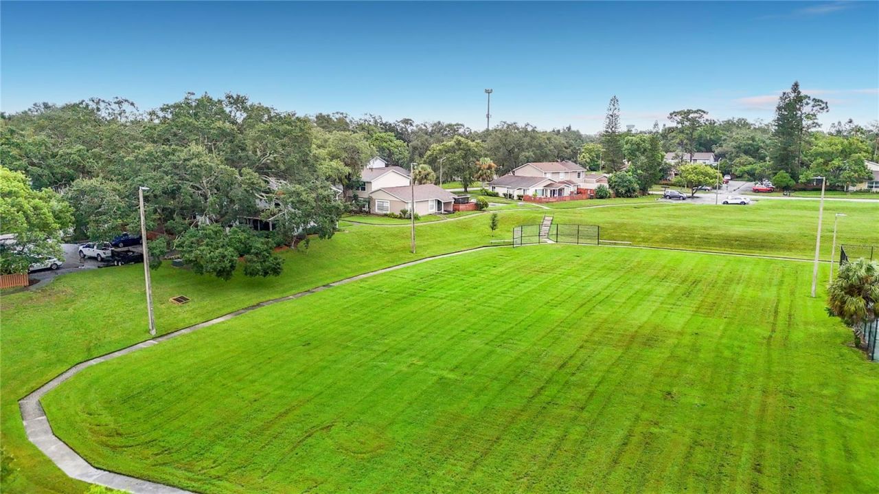 14732 Pine Glen Circle, Lutz, FL 33559 Photo
