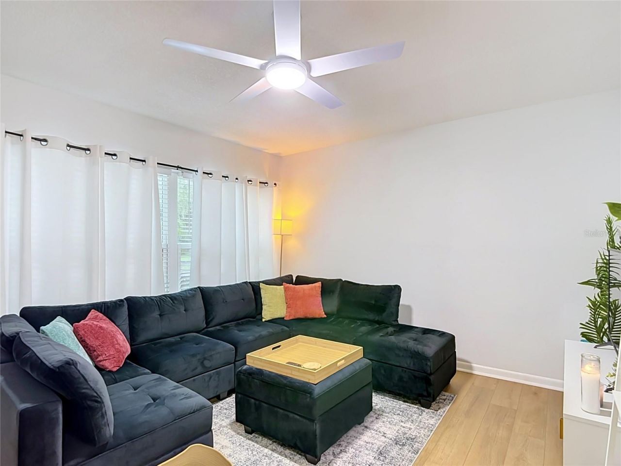 14732 Pine Glen Circle, Lutz, FL 33559 Photo