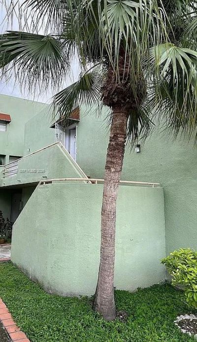11183 NW 7th St, Unit 204-20, Miami, FL 33172 Photo
