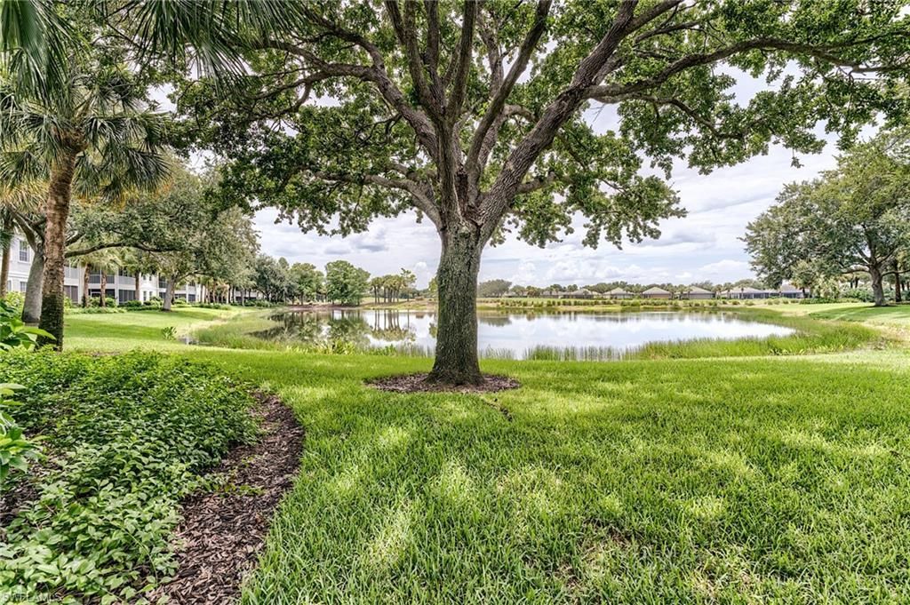 9151 Palmetto Ridge Dr , Unit 102, Estero, FL 34135 Photo