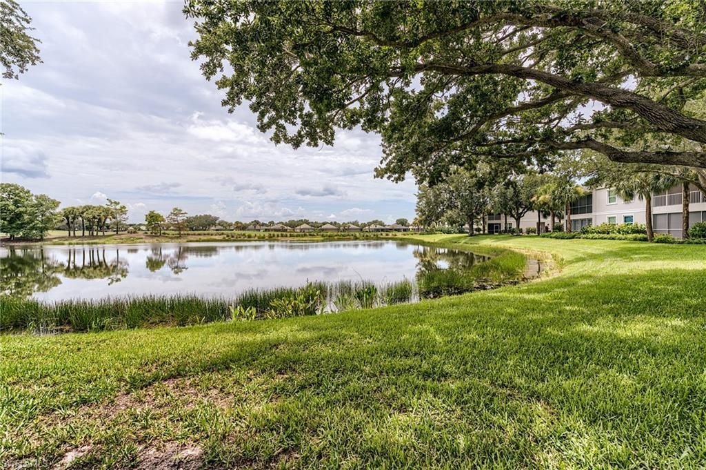 9151 Palmetto Ridge Dr , Unit 102, Estero, FL 34135 Photo