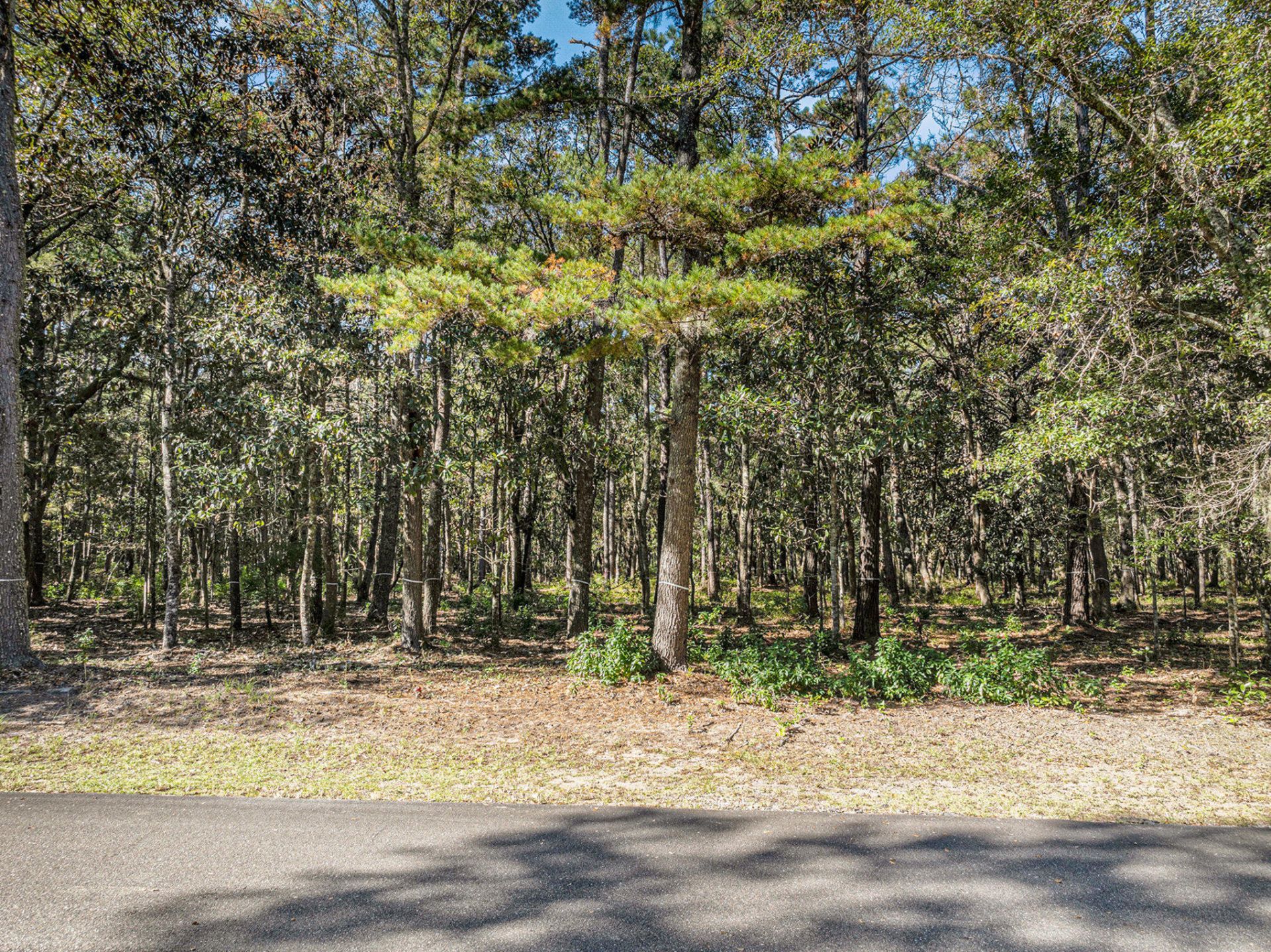 0 Gnarled Oaks Lane Photo 9