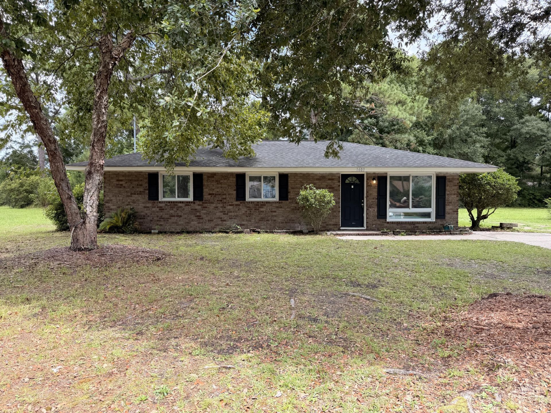 1603 Langston Drive Photo 1
