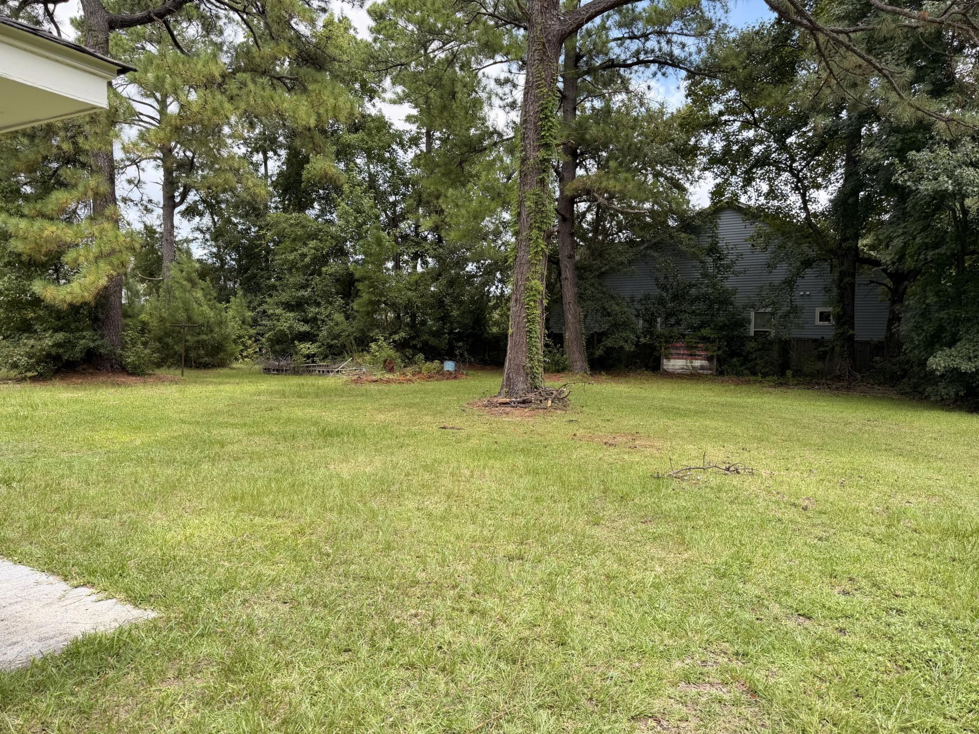 1603 Langston Drive Photo 7