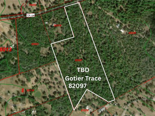 TBD Gotier Trace RD, Paige, TX 78659