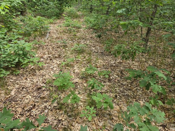 v/l 10-13 W Oliver Road, Baldwin, MI 49304