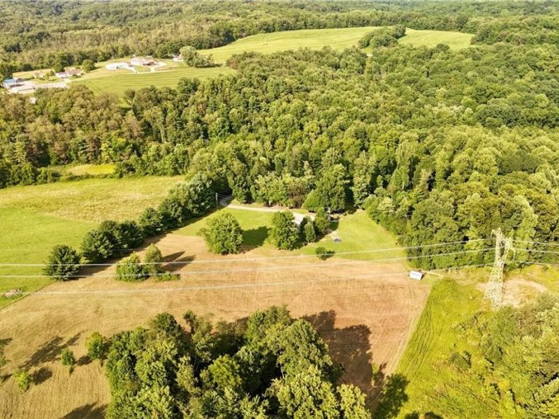 5612 Township Road 54, Salineville, OH 43945 Photo 20