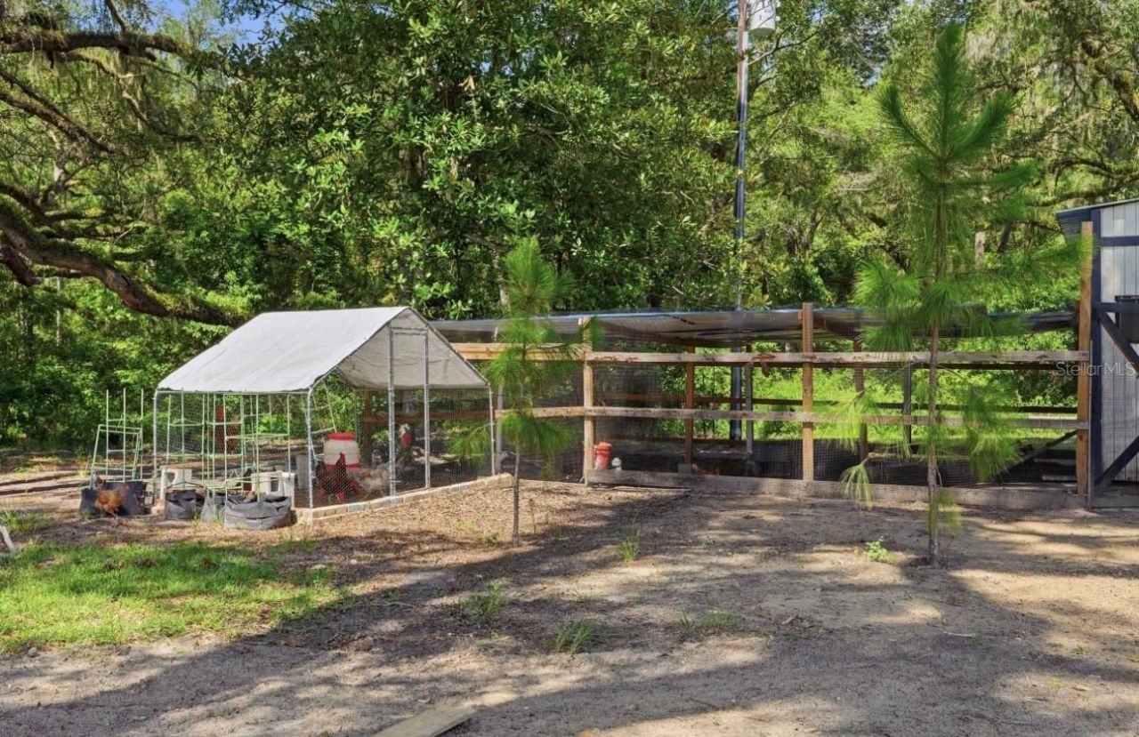 19826 NW 6th Avenue, Newberry, FL 32669 Photo