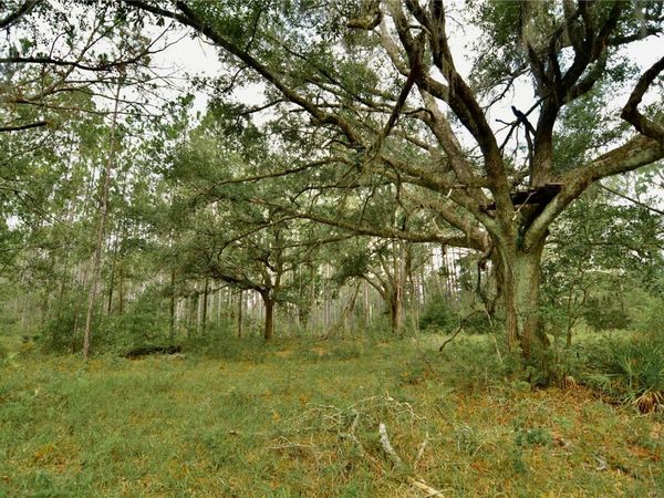00 SW BEE TREE ROAD , MADISON, FL 32340