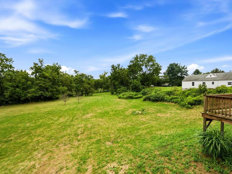 200 W Williams Street, Cardington, OH 43315 Photo 10