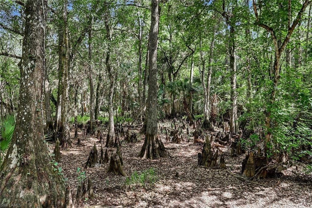 2291 Secretariat Dr, Labelle, FL 33935 Photo