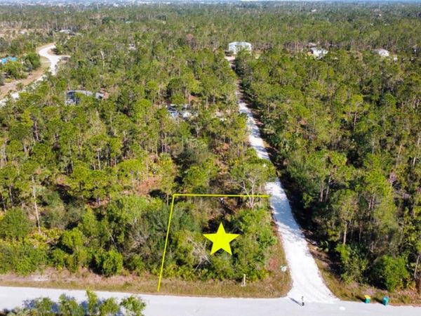 12355 GRAFFITI DRIVE , PUNTA GORDA, FL 33955