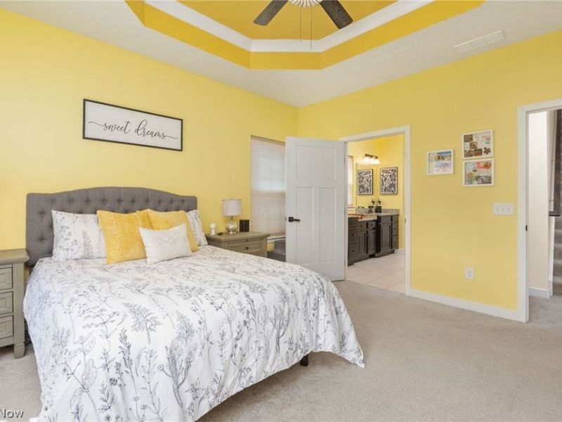 824 Robinson Drive, Lagrange, OH 44050 Photo 18