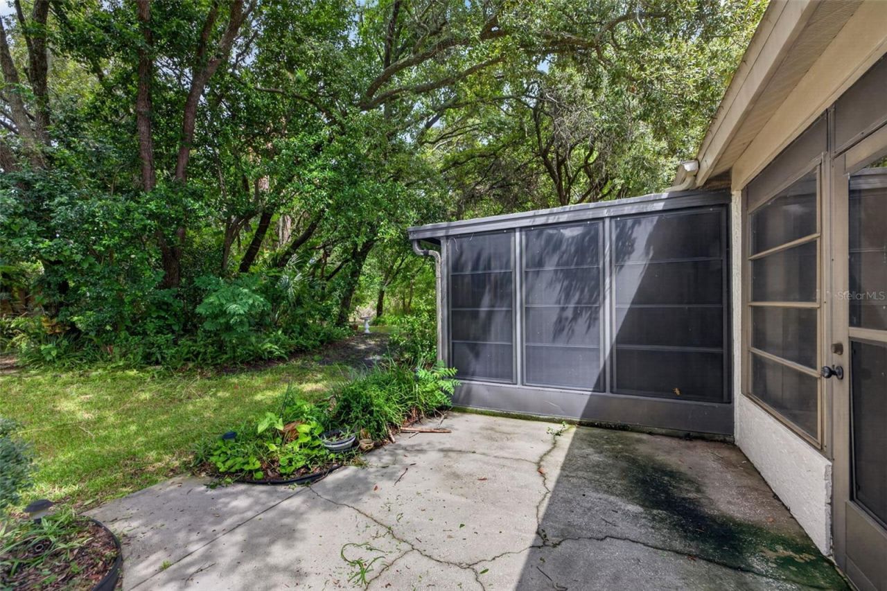 11754 Spring Tree Lane , Port Richey, FL 34668 Photo