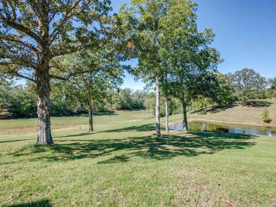 Property Image 63