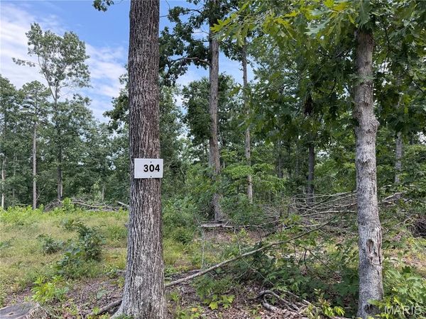 #304 Madison 410 , Fredericktown, MO 63645