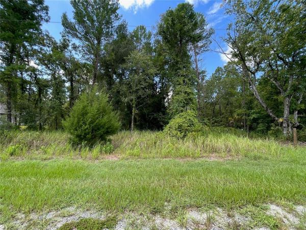 0 THRASHER AVENUE , WEEKI WACHEE, FL 34614
