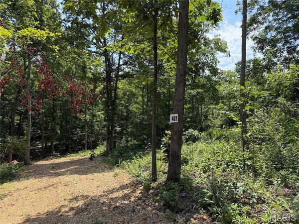 #407 Madison 410 , Fredericktown, MO 63645