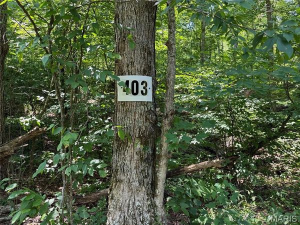#403 Madison 410, Fredericktown, MO 63645