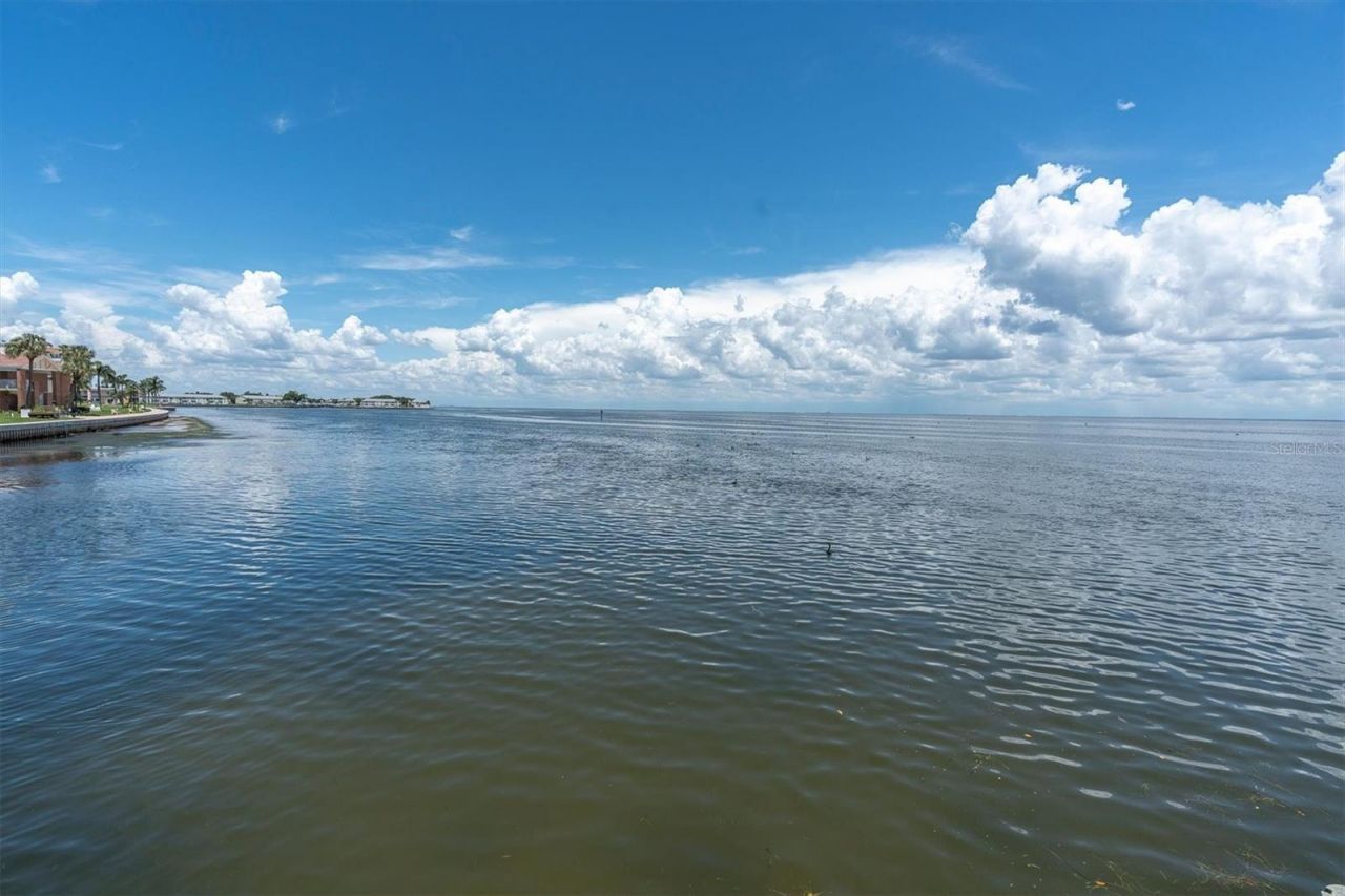 5810 Bahama Shores Drive S, Saint Petersburg, FL 33705 Photo