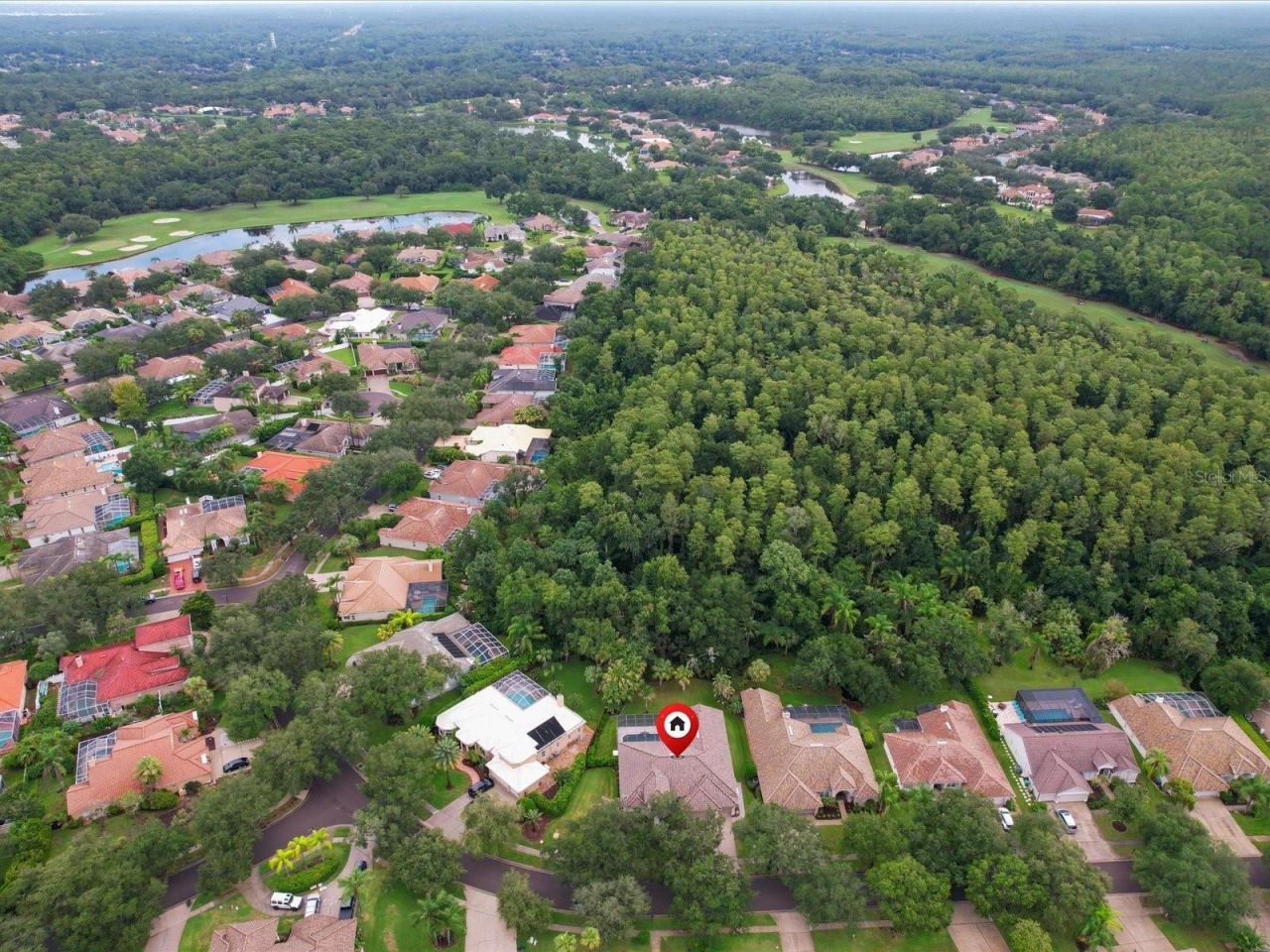 4987 Cross Pointe Drive, Oldsmar, FL 34677 Photo