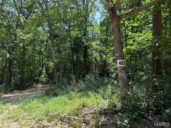 #402 Madison 410 , Fredericktown, MO 63645