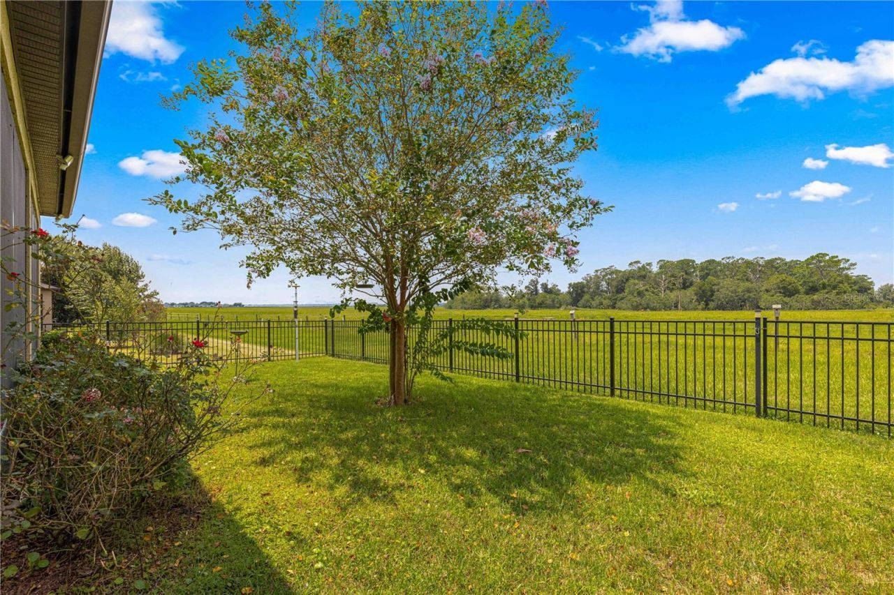 9793 SW 63rd Loop, Ocala, FL 34481 Photo
