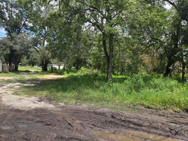 39249 LIZABETH CIRCLE , ZEPHYRHILLS, FL 33542