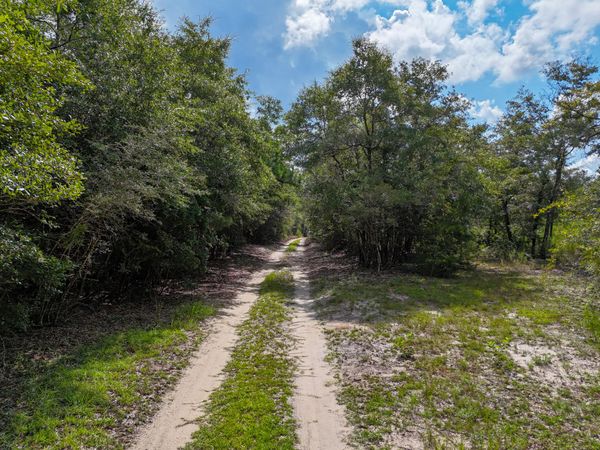 40 Acres Mossy Bend Road, Red Bay, FL 32455