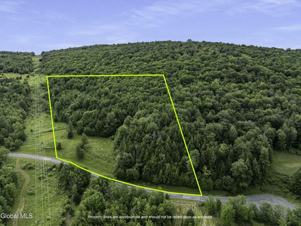L28.1 Deer Lane, Prattsville, NY 12452