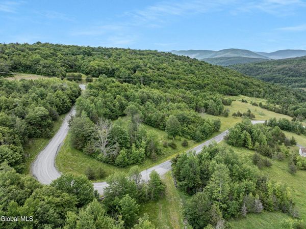 L40 Overlook Drive, Prattsville, NY 12452