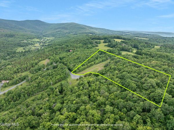 L36 Overlook Drive, Prattsville, NY 12452