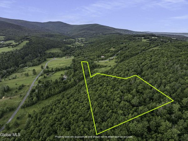 L20.2 Overlook Drive, Prattsville, NY 12452