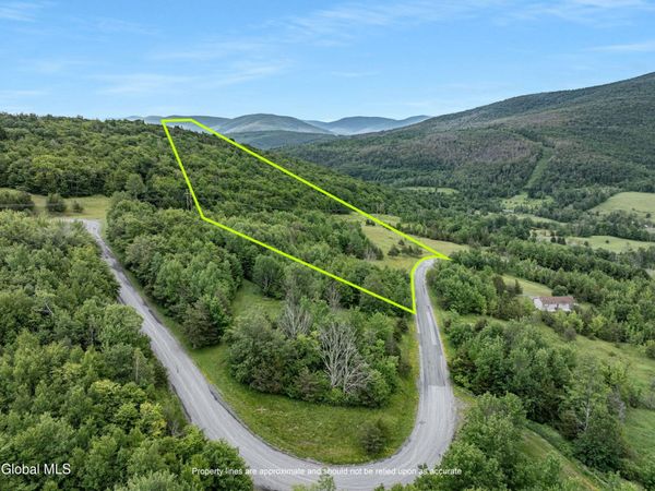 L19.2 Overlook Drive, Prattsville, NY 12452