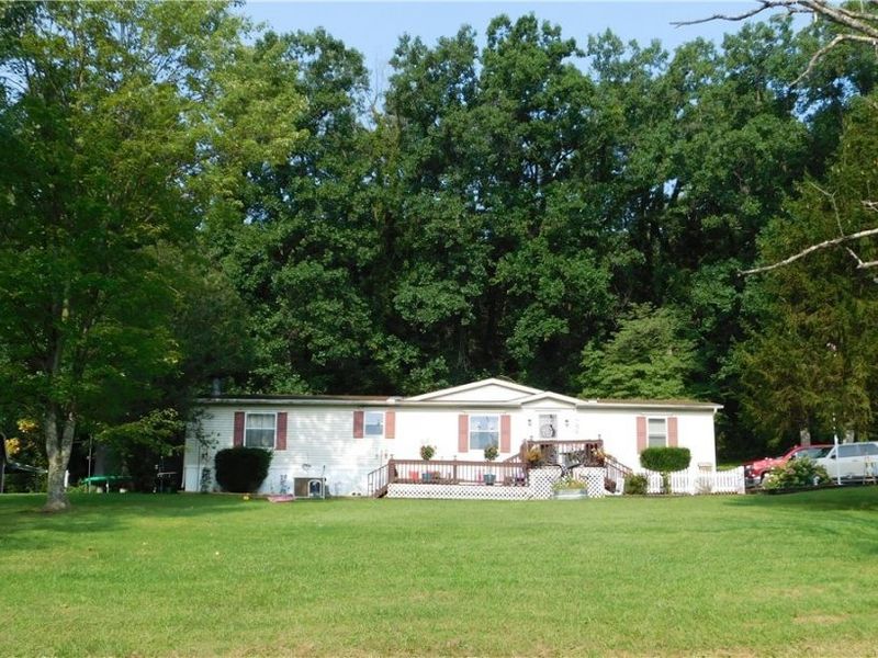 66533 Batesville Road, Quaker City, OH 43773 Photo 4