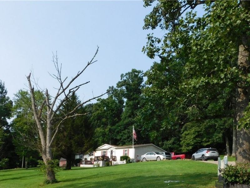66533 Batesville Road, Quaker City, OH 43773 Photo 40