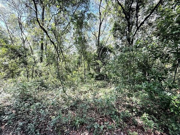 SW 150TH STREET , DUNNELLON, FL 34432