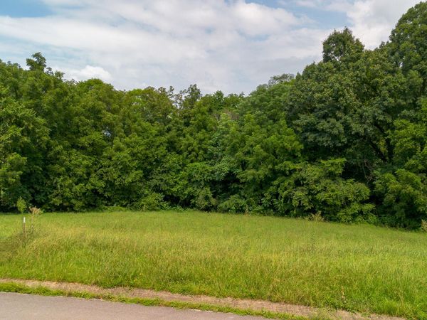 Lot 20 Meadowcrest Lane, Dandridge, TN 37725