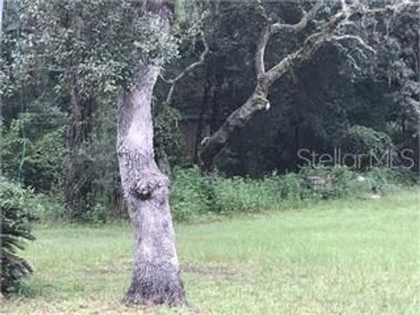 SW 49TH CT , WEBSTER, FL 33597