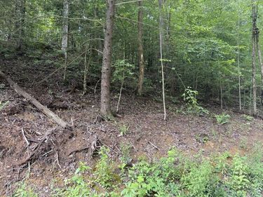 35 Low Ridge Road, Campton, KY 41301
