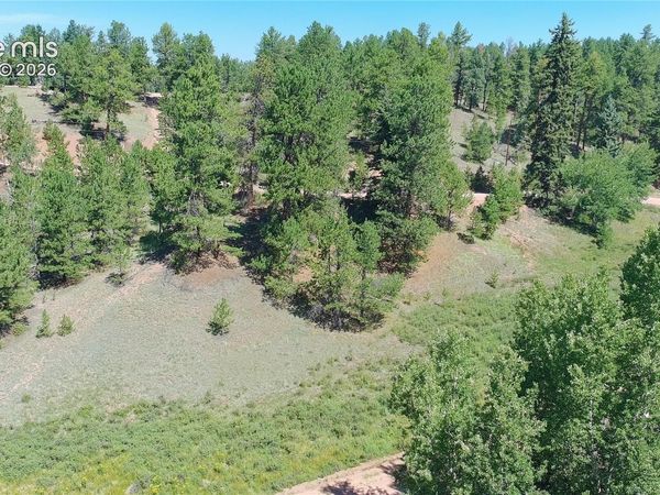 787 Spring Valley Lane, Florissant, CO 80816