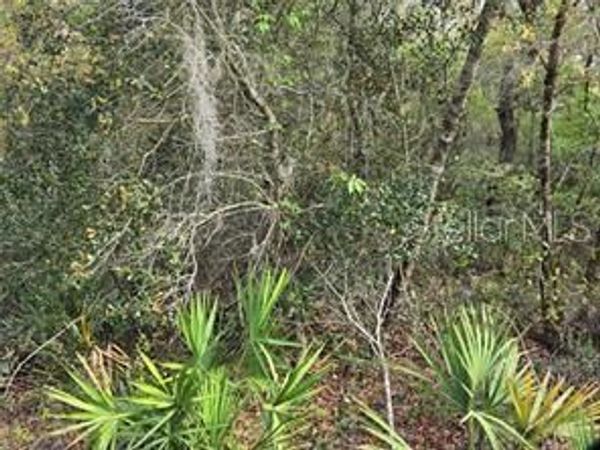 CR 245D , OXFORD, FL 34484