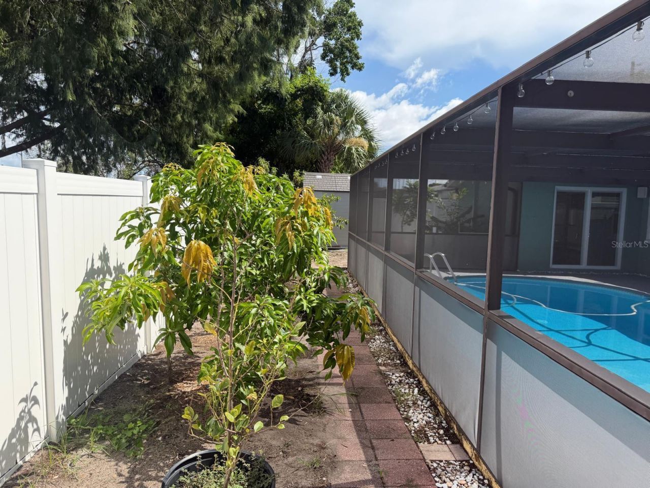 9236 Gray Fox, Port Richey, FL 34668 Photo