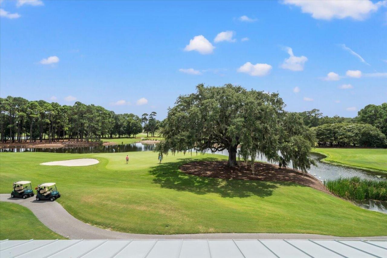 4517 Hope Plantation Drive Photo 61
