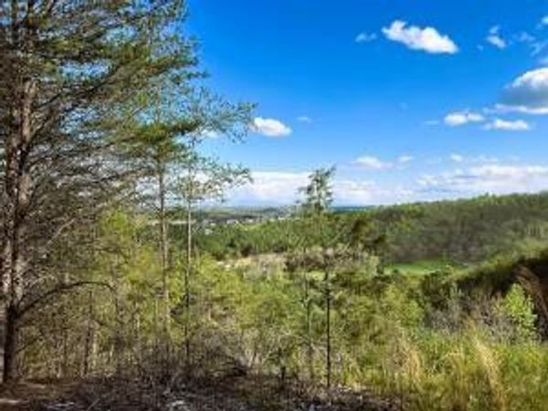 0 Owl Hollow Road SW, Unit 6, Mc Donald, TN 37353